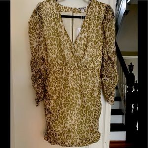 Beautiful Walter Baker Puff Sleeve Leopard Dress, Size Small